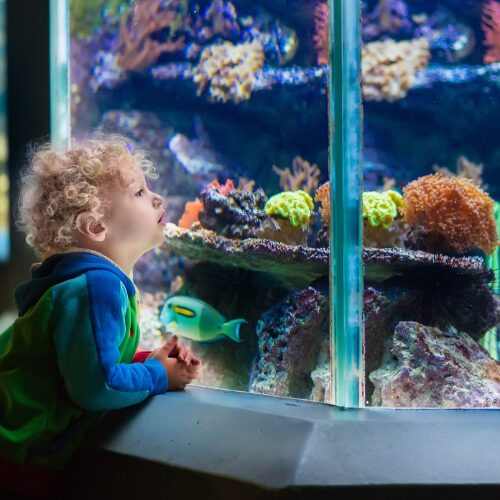 水族館