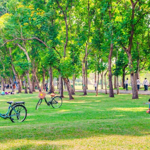 公園の自転車